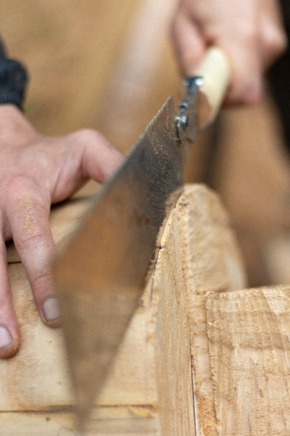 Photo by Antônio Frederico Lasalvia